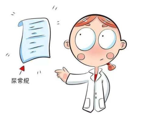 「护肾」保护肾脏,预防肾衰,坚持做好这4件事,转给爱的人
