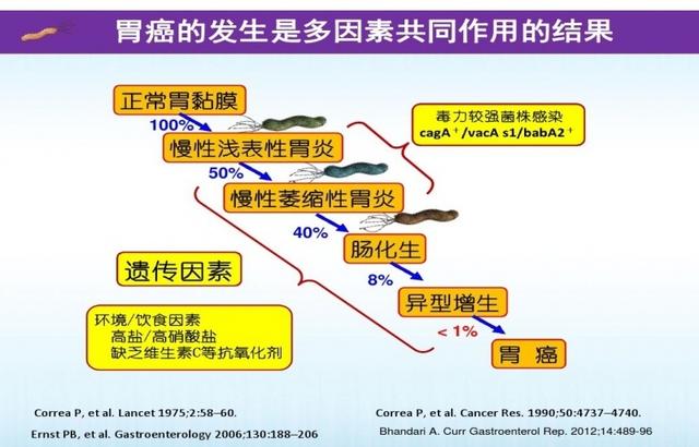 辟谣!萎缩性胃炎一定会变成胃癌?大多数人都搞错了