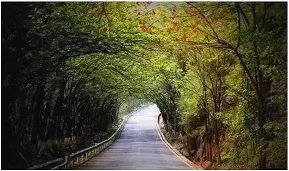 贵州这8条绝美公路,一生至少要去一次