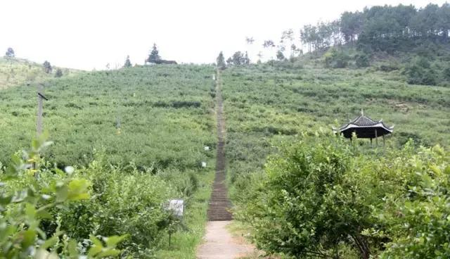 贵州这8条绝美公路,一生至少要去一次