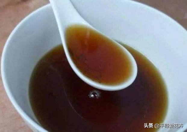 厨房里的“1种垃圾”别扔,养花盆里掺一点,枝叶茂盛、开花艳