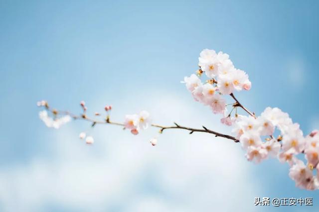 春护肝、夏养心、秋润肺、冬补肾,四季养生如何省钱省心省力?