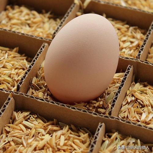 鸡蛋不能直接放在冰箱里，跟养鸡场大妈学的绝招，存放半年不变质