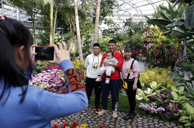 万盆年宵花绽放 来北京植物园逛“鲜花庙会”