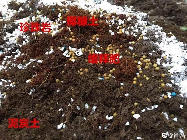 5种花的配土方法，上盆就活，养花再也不烂根