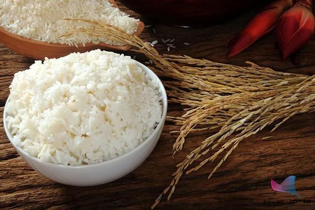 吃米和吃面到底哪个更好？多年的疑问终于解开了