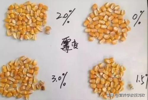 你置办的年货里有多少坚果？葵花籽、花生是健康食品？