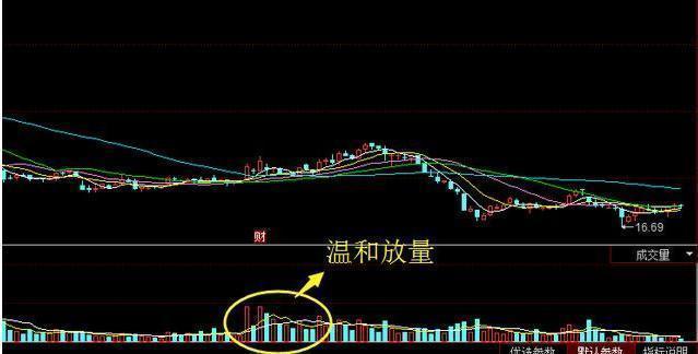 中国股市:“涨三不追,跌四不压”