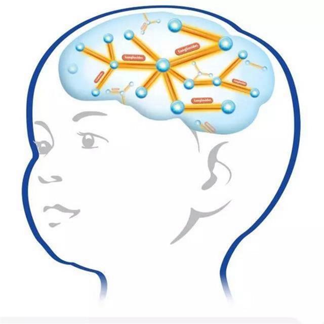 脑发育不良主要表现在这几个方面?脑发育不良的孩子应该怎么办?