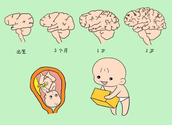 脑发育不良主要表现在这几个方面？脑发育不良的孩子应该怎么办？