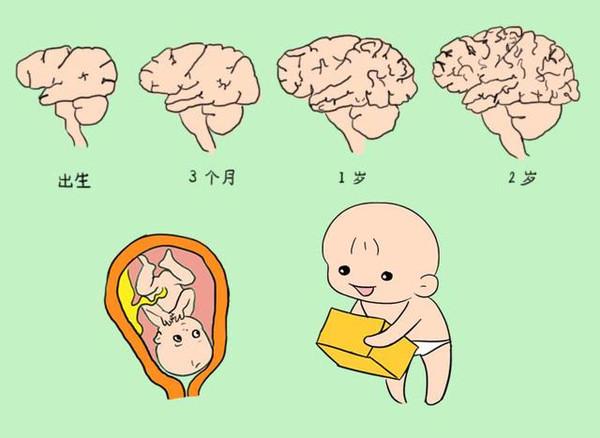 脑发育不良主要表现在这几个方面?脑发育不良的孩子应该怎么办?