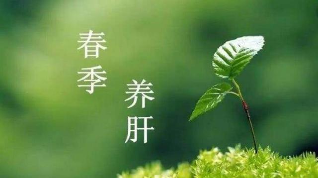 春天养肝黄金季,莫忘“五忌”记“五宜”