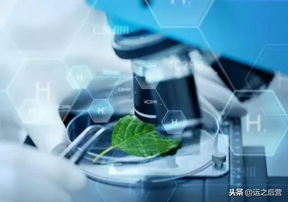 中国最吃香的5大专业,几乎不愁就业,专科出来都是香饽饽
