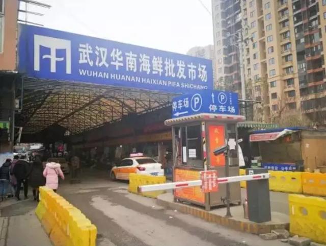 起底华南海鲜市场及幕后老板:谁在放纵地下野味市场?