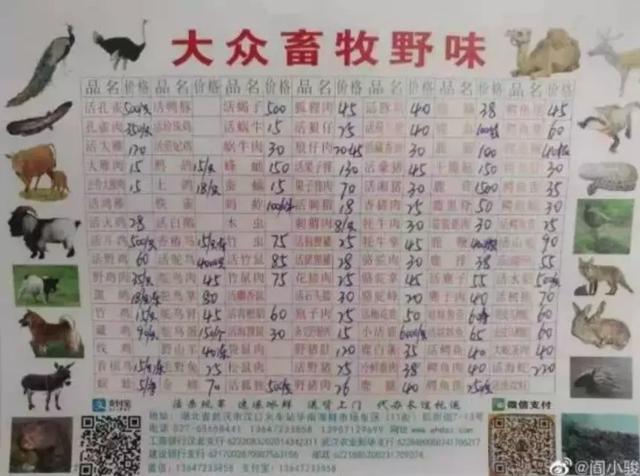起底华南海鲜市场及幕后老板:谁在放纵地下野味市场?