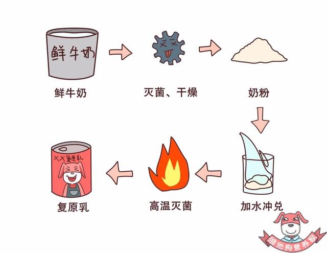 复原乳、鲜牛奶、纯牛奶傻傻分不清楚?带你看破牛奶的千层套路