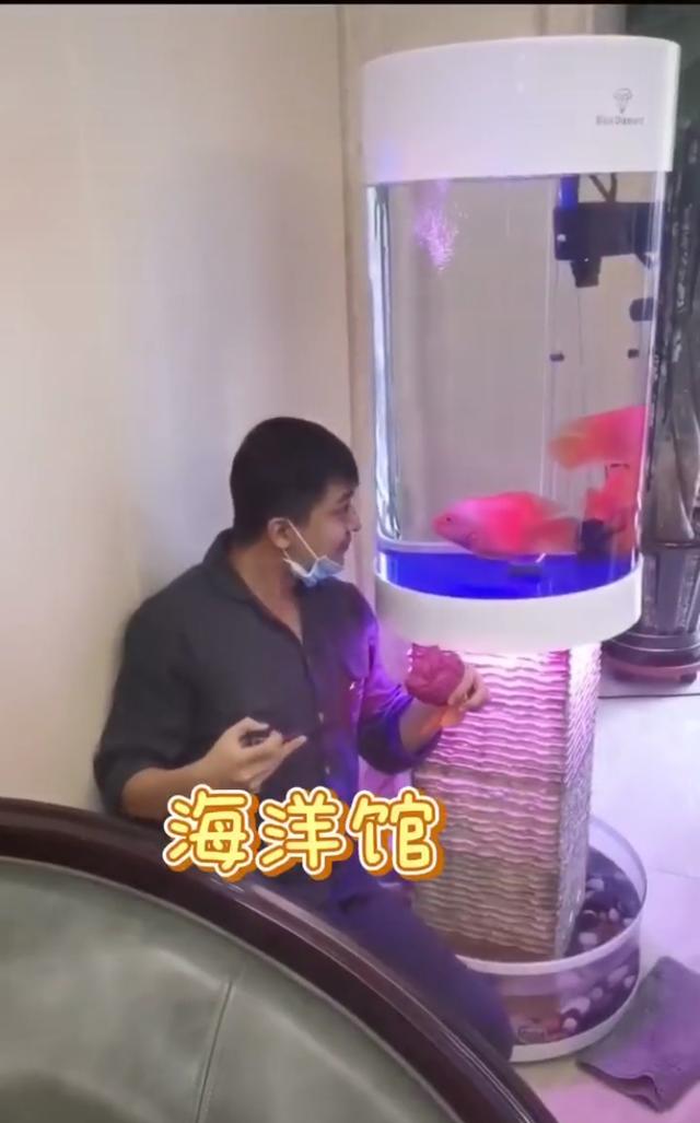 李佳航晒别墅内景名酒满柜,儿子入镜超可爱,细节看李晟很贤惠
