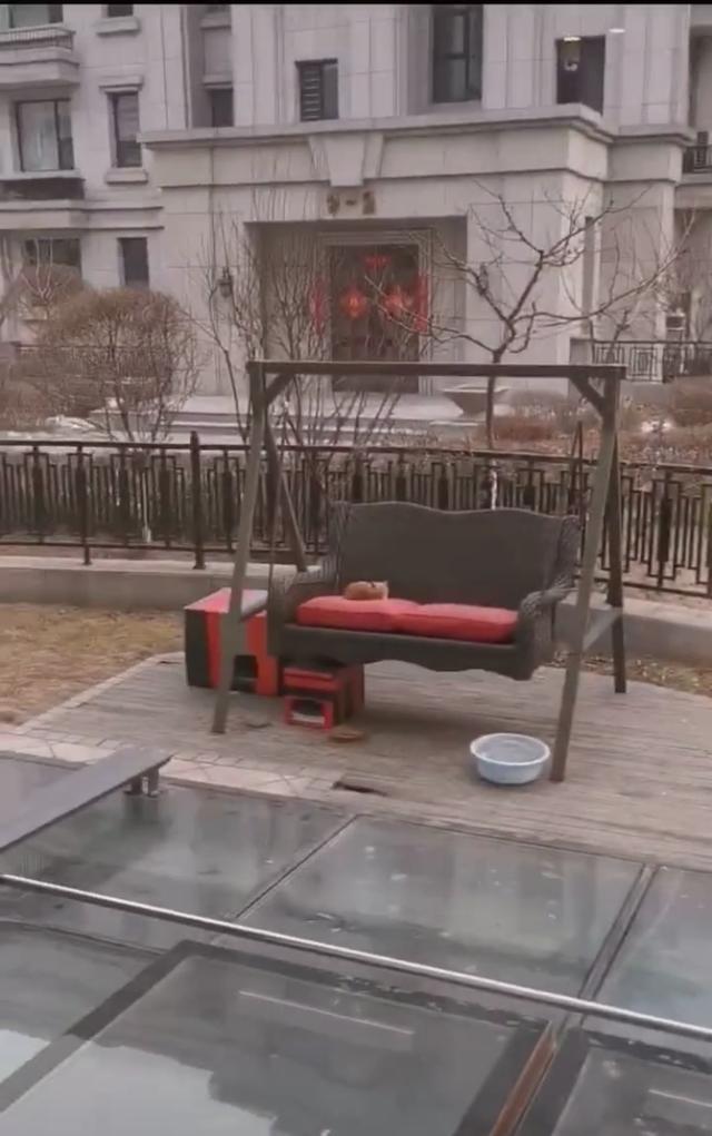 李佳航晒别墅内景名酒满柜,儿子入镜超可爱,细节看李晟很贤惠