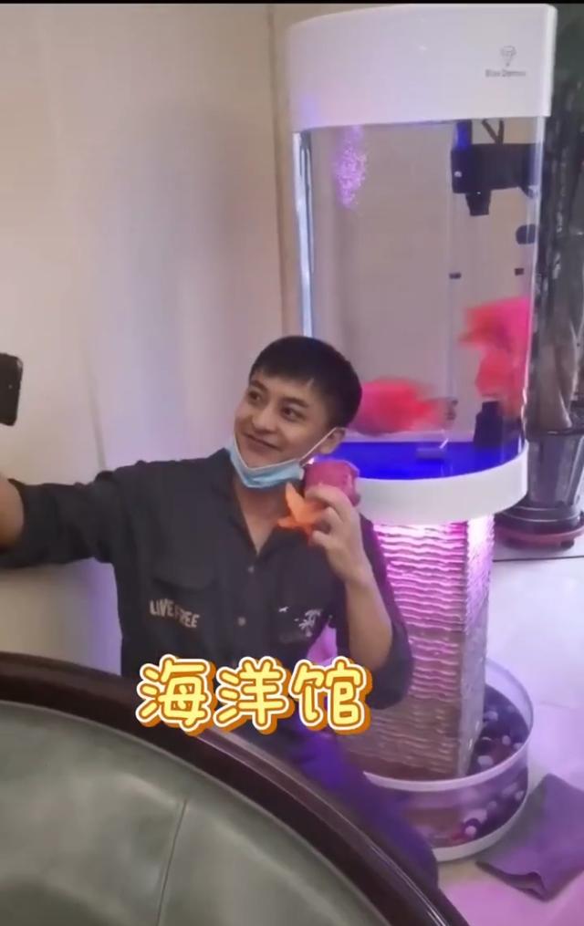 李佳航晒别墅内景名酒满柜,儿子入镜超可爱,细节看李晟很贤惠