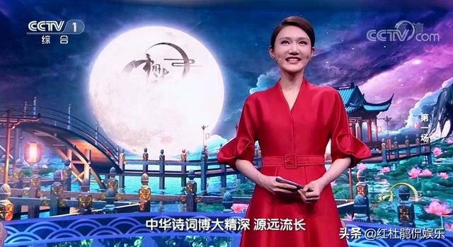 主持人不是董卿的《中国诗词大会》,嘉宾康震老师的笑容都少了