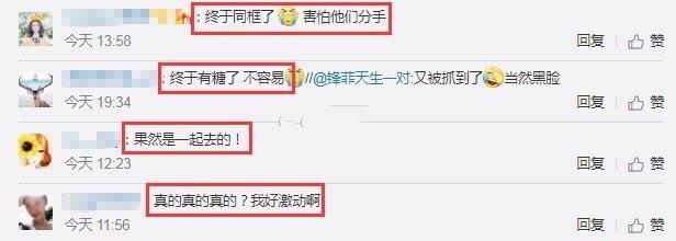 “锋菲”终于撒糖!两人日本滑雪被偶遇,王菲还花式给谢霆锋拍照