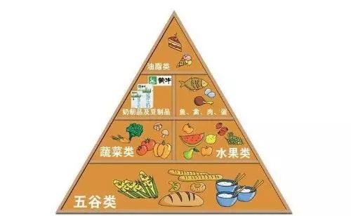 酒精肝和脂肪肝有什么区别?预防方法都有哪些?