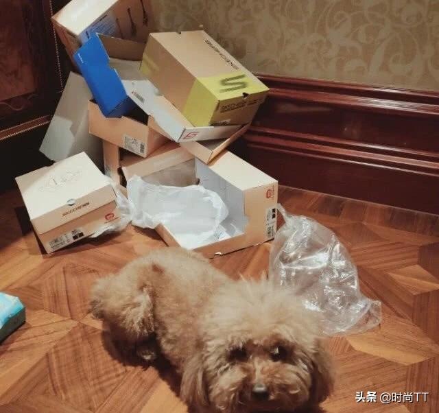 杨紫宅在家样子太真实,角落垃圾攒一堆,但素颜脸瘦不少美得惊艳