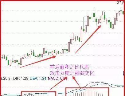 A股有1.5亿散户，大部分散户处于亏损之中，为什么还坚持在股市？