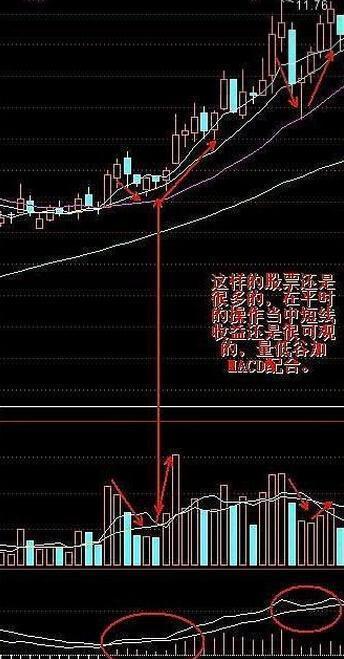 A股有1.5亿散户,大部分散户处于亏损之中,为什么还坚持在股市?