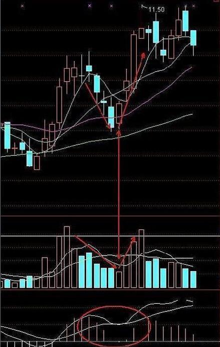 A股有1.5亿散户,大部分散户处于亏损之中,为什么还坚持在股市?