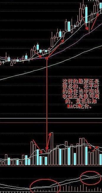 A股有1.5亿散户,大部分散户处于亏损之中,为什么还坚持在股市?
