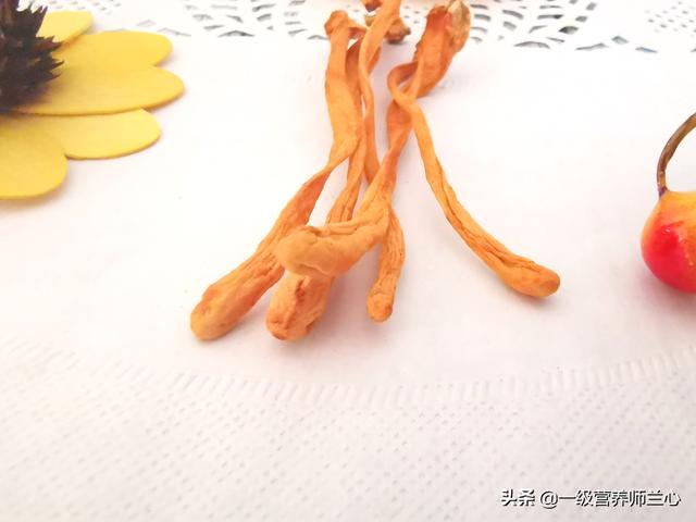 虫草花和冬虫夏草有很大区别,了解后,你还会喝虫草花炖鸡汤吗?
