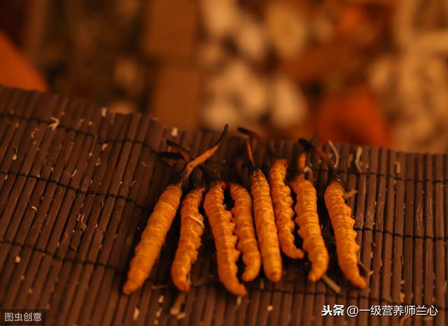虫草花和冬虫夏草有很大区别,了解后,你还会喝虫草花炖鸡汤吗?