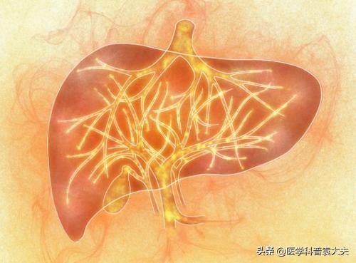 春节以后,中医教你怎么护好自己的“小心肝”