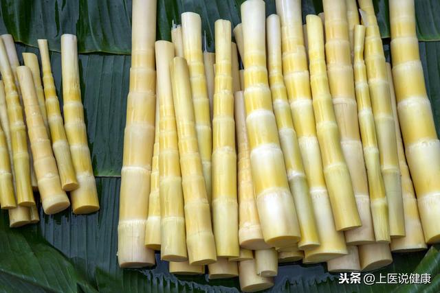 要想生病少,饮食全餐吃!蔬菜分5类,养生功能大不同,别吃错了