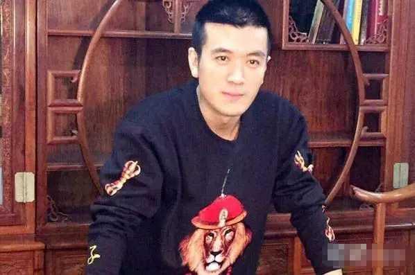 杨子家究竟是做什么产业的?巨力集团是个什么样的企业?