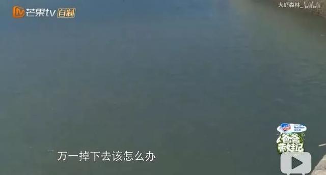 嗯哼不愧是10后梗王,哈哈哈哈哈