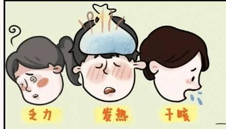 新型冠状病毒疫情期间,菜场买菜必须知道的十件事