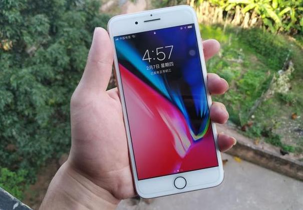 为何iPhone11低价都无人问津?都怪iPhone 8Plus卖得太好了