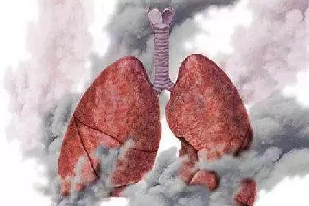 养肺就是养命，看看如何养肺