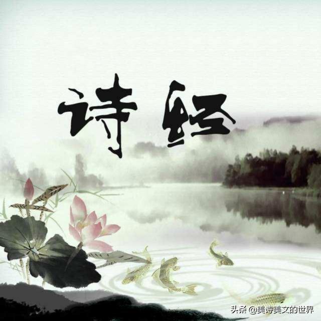 诗词大会决赛高水平飞花令,对到一半嘉宾都笑了,这届选手够机智