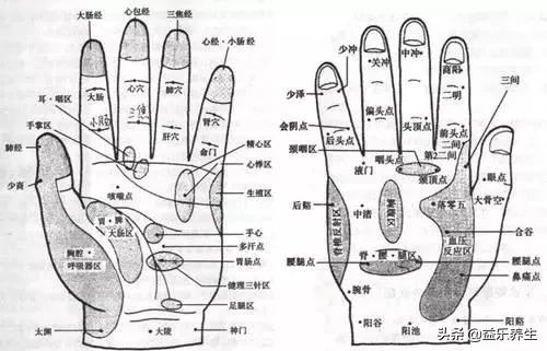 简便补气法，每个人都可以做