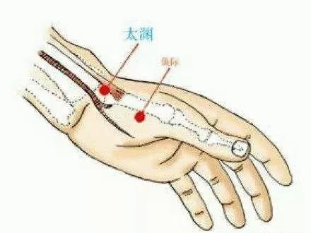 养肺迫在眉睫,教你养方法