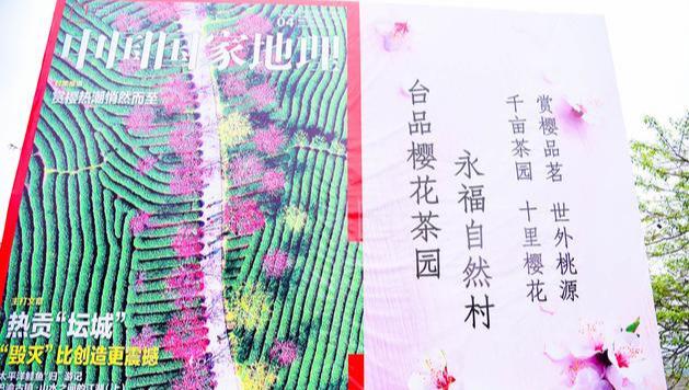 在家云旅游：中国最美赏樱胜地，藏在福建小山村，种植10万株樱花