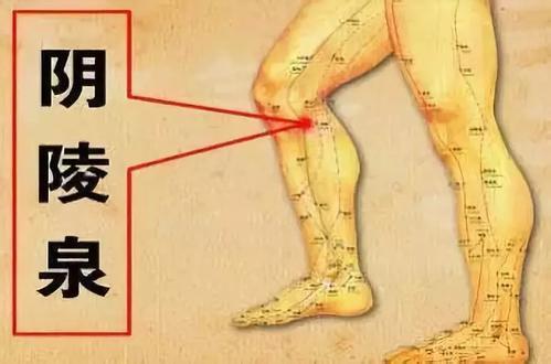 脾为气血生化之源!常按揉脾经十要穴,少生病、精神足、人欢喜