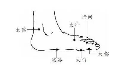 脾为气血生化之源！常按揉脾经十要穴，少生病、精神足、人欢喜