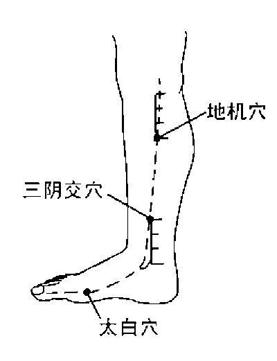 脾为气血生化之源！常按揉脾经十要穴，少生病、精神足、人欢喜