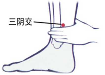 脾为气血生化之源!常按揉脾经十要穴,少生病、精神足、人欢喜