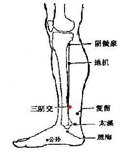 脾为气血生化之源!常按揉脾经十要穴,少生病、精神足、人欢喜