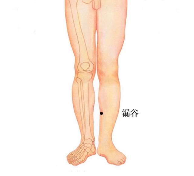 脾为气血生化之源!常按揉脾经十要穴,少生病、精神足、人欢喜